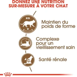 Croquette pour chat mature stérilisé Royal Canin - 2 kg