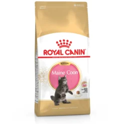 Croquette pour chaton et chatte adulte en gestation Maine Coon Royal Canin - 2 kg