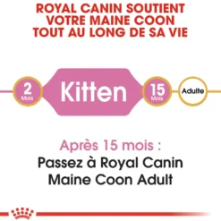 Croquette pour chaton et chatte adulte en gestation Maine Coon Royal Canin - 2 kg