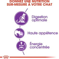 Croquettes pour chat adulte avec une sensibilité digestive Royal Canin Sensible 33 - 2 kg