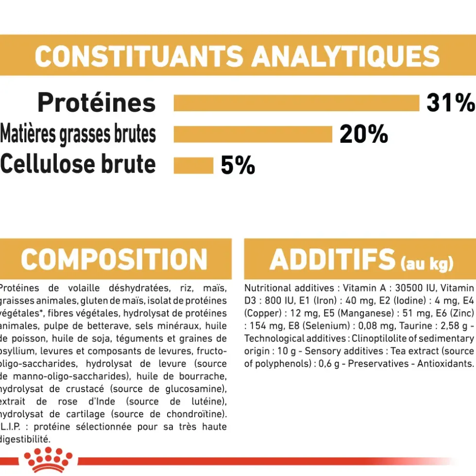 Croquettes pour chat adulte Maine Coon Royal Canin - 2 kg
