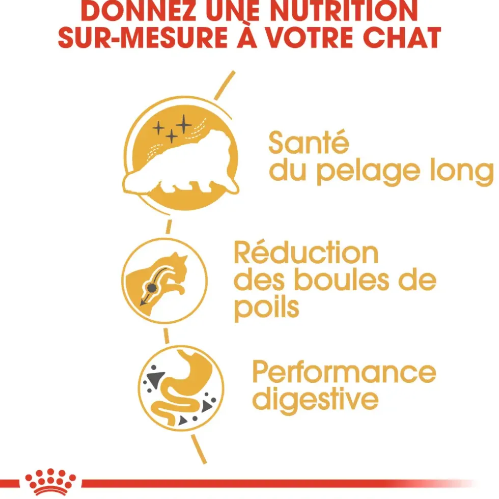 Croquettes pour chat adulte Persan Royal Canin Persian Adult - 4 kg