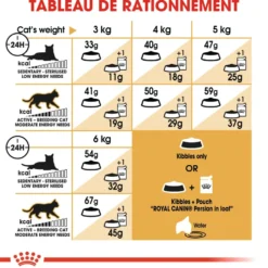 Croquettes pour chat adulte Persan Royal Canin Persian Adult - 4 kg