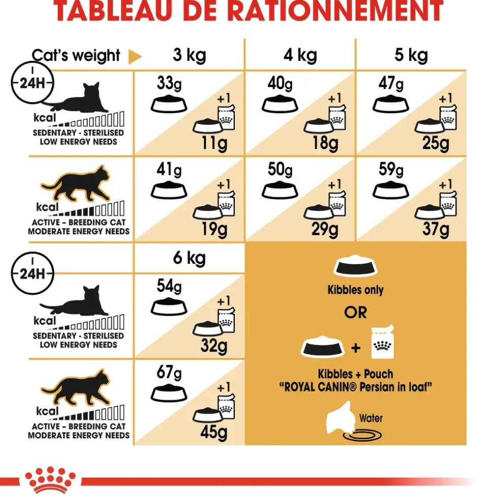 Croquettes pour chat adulte Persan Royal Canin Persian Adult - 4 kg