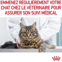 Croquettes pour chat adulte Royal Canin Light Weight Care - 3 kg