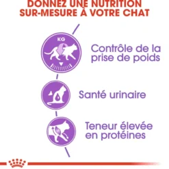 Croquettes pour chat adulte stérilisé Royal Canin Sterilised 37 - 10 kg