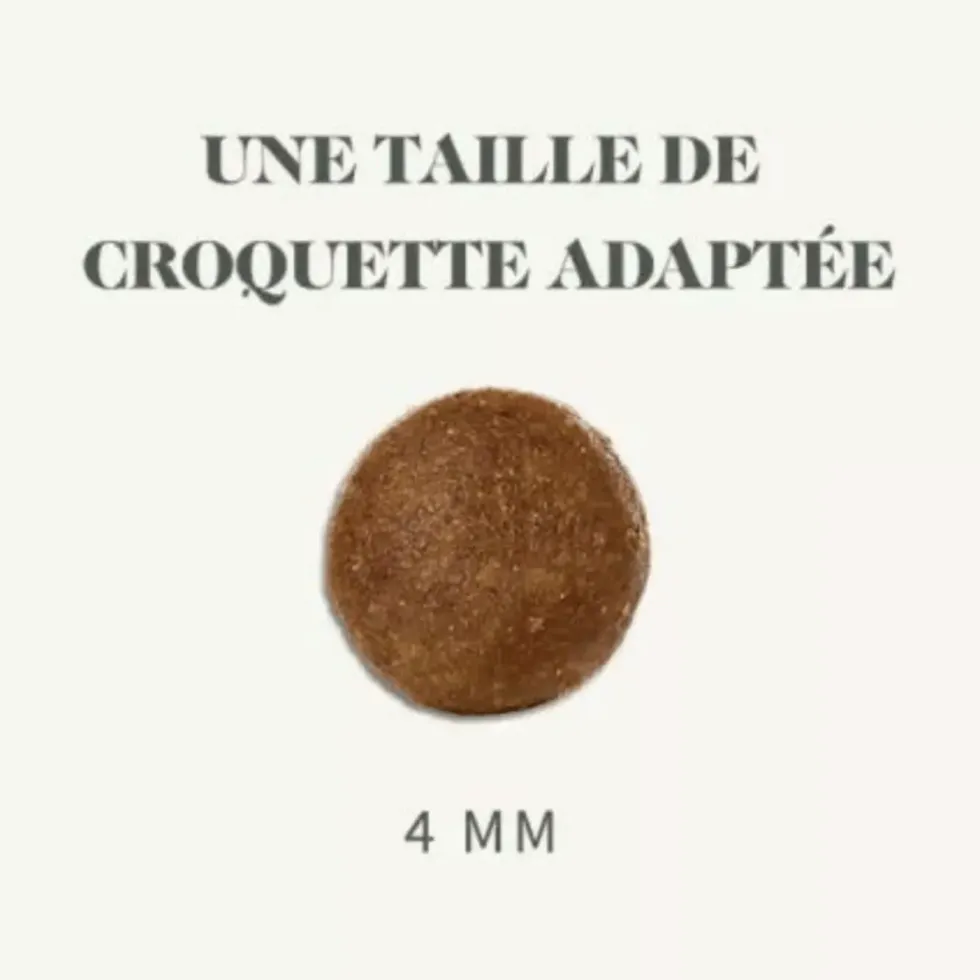 Croquettes pour chat adulte stérilisé au saumon sans céréales Bab'in Signature - 3 kg