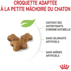 Croquettes pour chaton Royal Canin Kitten Croissance - 4 kg