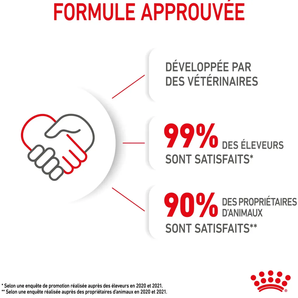 Croquettes pour chaton Royal Canin Kitten Croissance - 4 kg