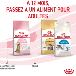 Croquettes pour chaton stérilisé Royal Canin Kitten Sterilised - 3,5 kg