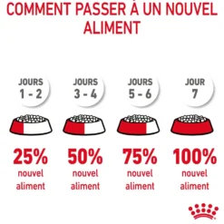Croquettes pour chat Royal Canin Hairball Care - 4 kg