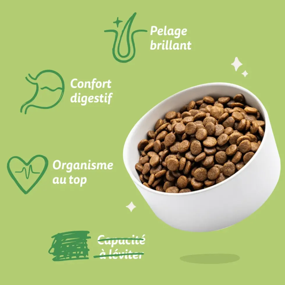 Croquettes pour chien adulte à l'agneau sans céréales Edgard & Cooper - 7 kg