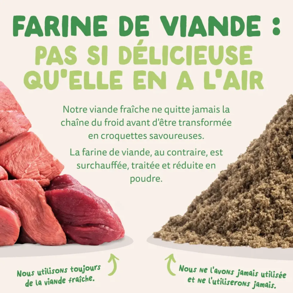 Croquettes pour chien adulte à l'agneau sans céréales Edgard & Cooper - 7 kg
