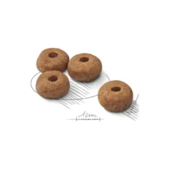 Croquettes pour chien adulte stérilisé de taille moyenne Royal Canin Medium Sterilised Adult - 12 kg