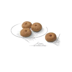 Croquettes pour chien adulte stérilisé de petite taille Royal Canin Mini Sterilised - 3 kg