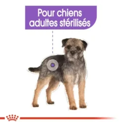Croquettes pour chien adulte stérilisé de petite taille Royal Canin Mini Sterilised - 3 kg