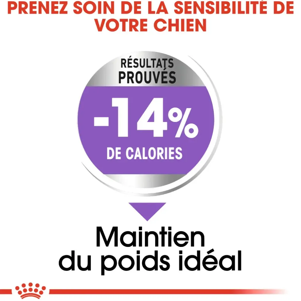 Croquettes pour chien adulte stérilisé de petite taille Royal Canin Mini Sterilised - 3 kg