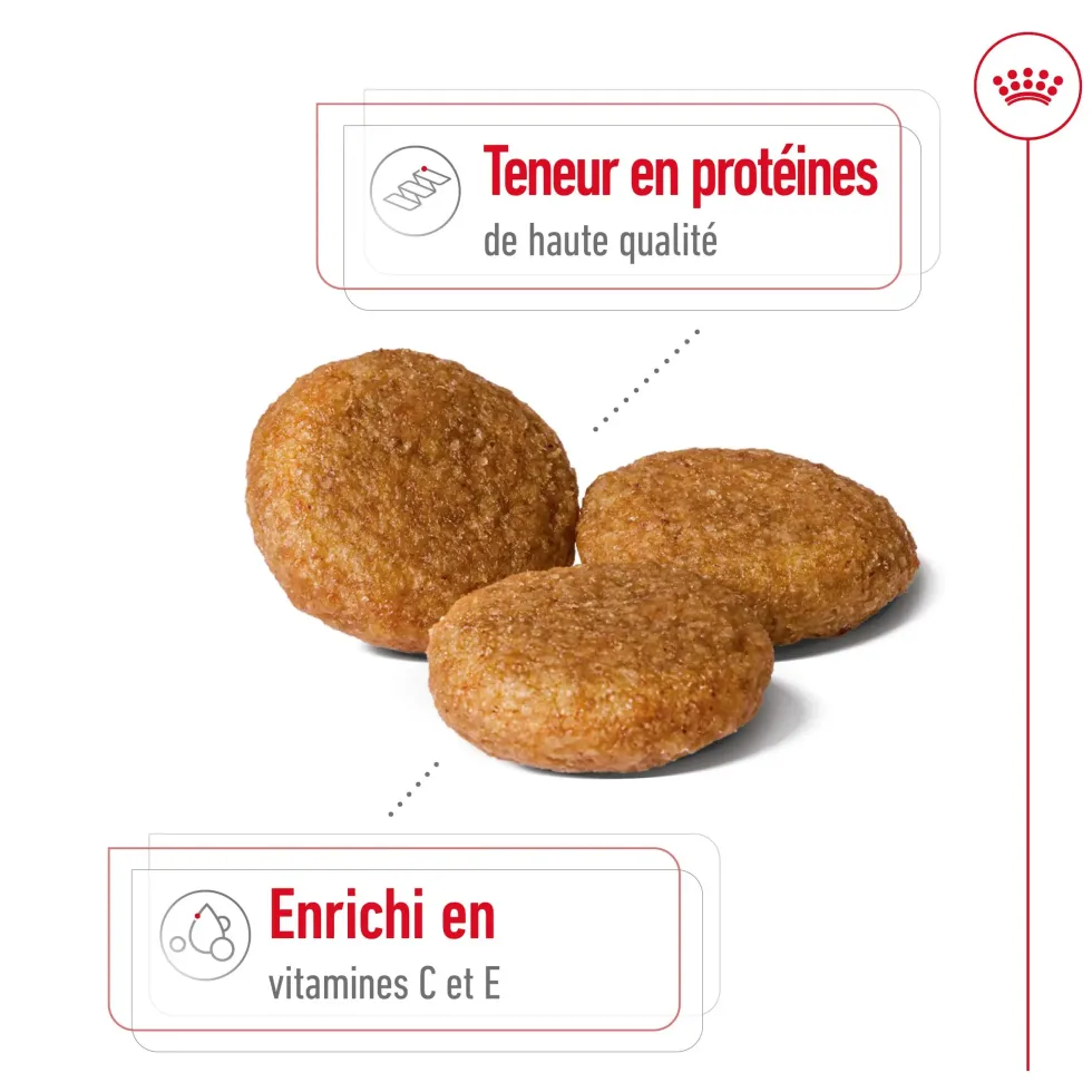 Croquettes pour chien adulte de taille moyenne Royal Canin Medium Adult - 3 kg