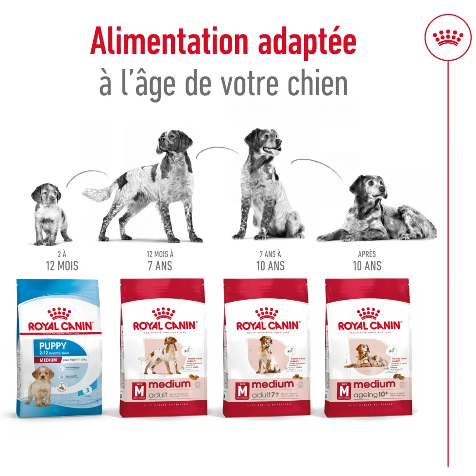 Croquettes pour chien adulte de taille moyenne Royal Canin Medium Adult - 3 kg