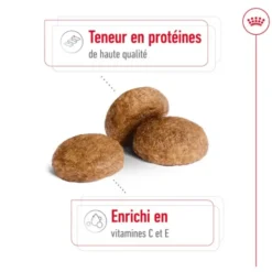 Croquettes pour chien adulte de taille moyenne Royal Canin Medium Adult +7 - 15 kg