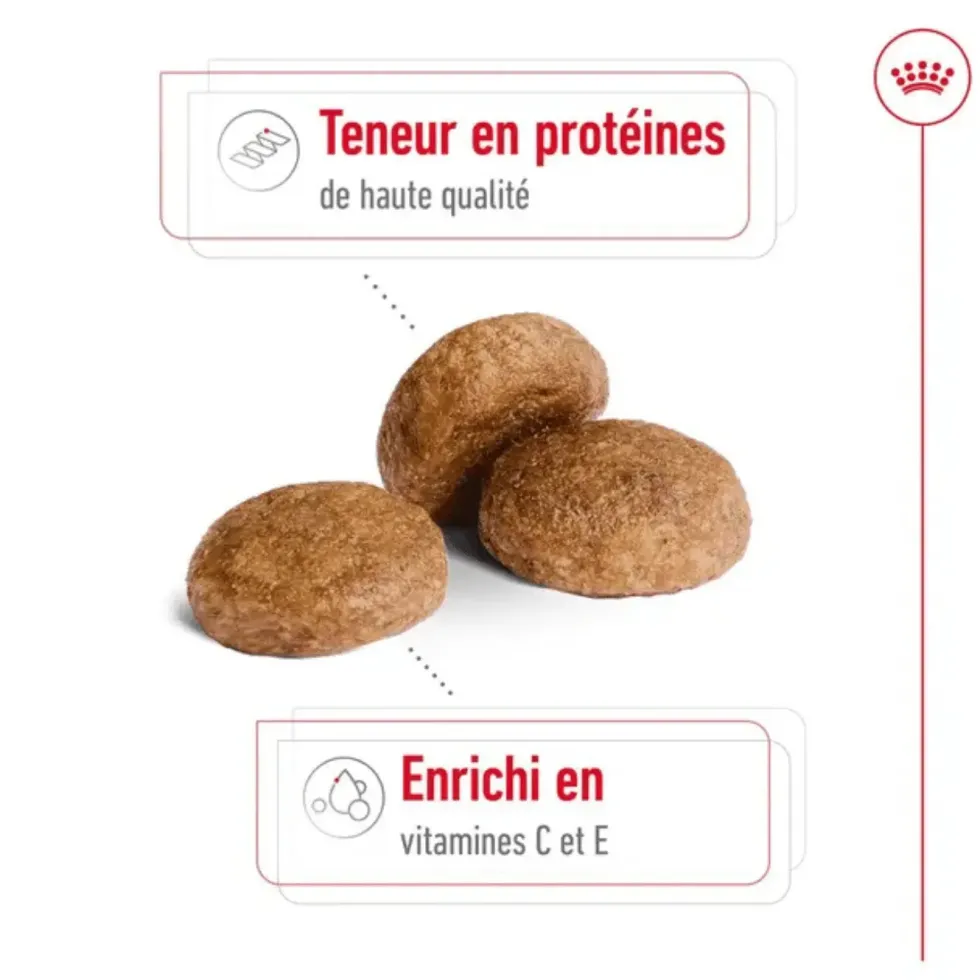 Croquettes pour chien adulte de taille moyenne Royal Canin Medium Adult +7 - 15 kg