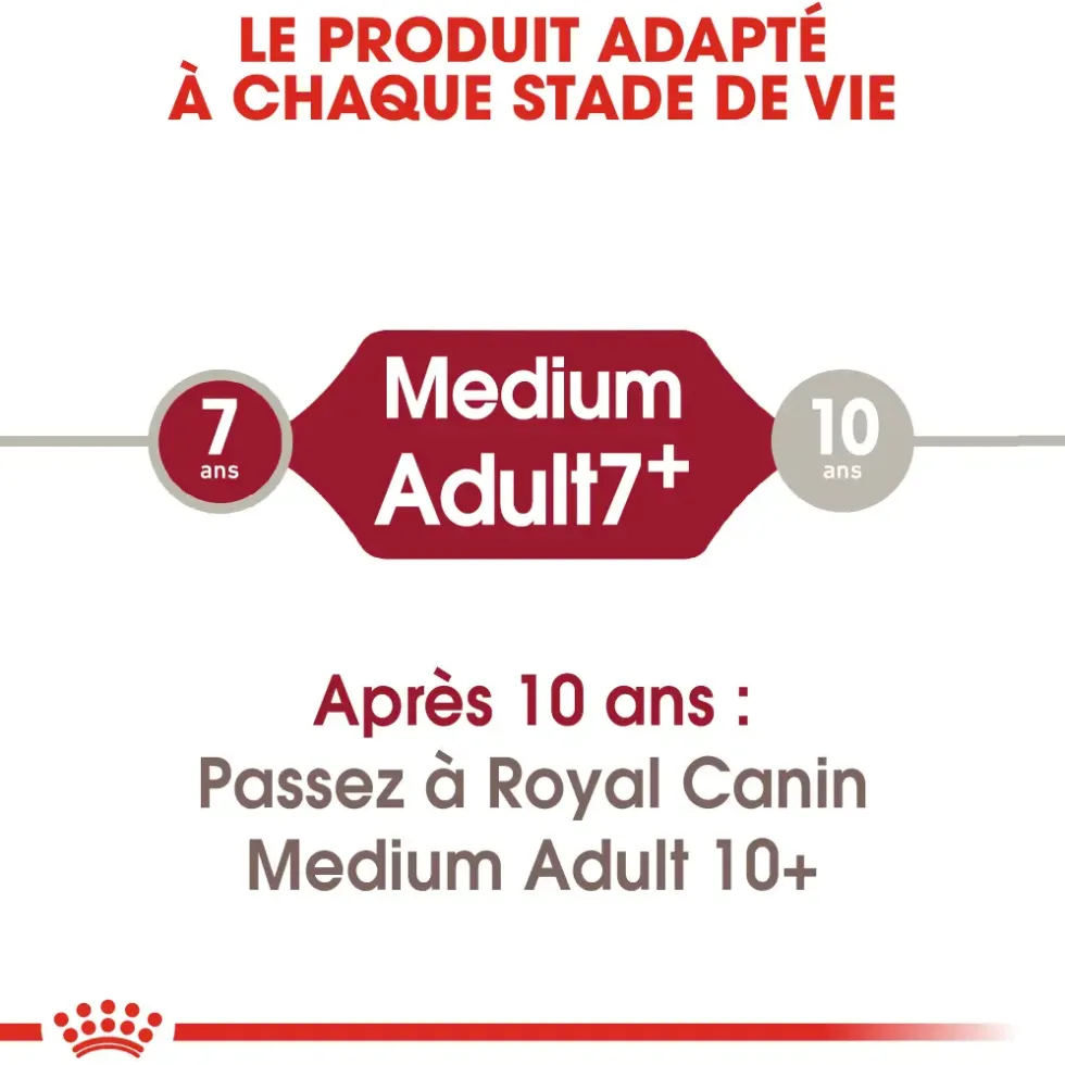Croquettes pour chien adulte de taille moyenne Royal Canin Medium Adult +7 - 15 kg