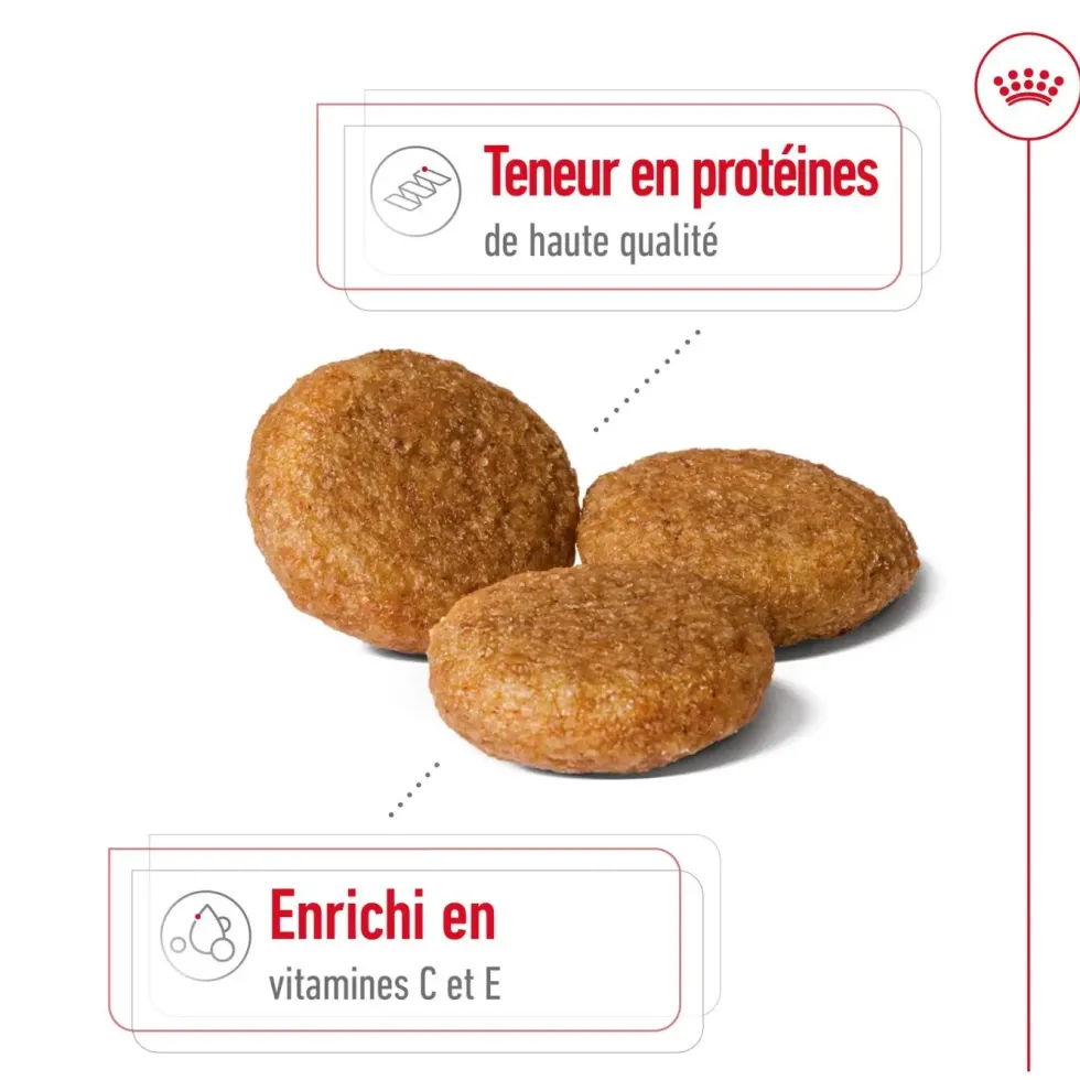 Croquettes pour chien adulte de taille moyenne Royal Canin Medium Adult - 15 kg