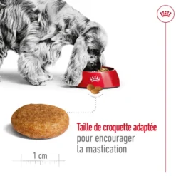 Croquettes pour chien adulte de taille moyenne Royal Canin Medium Adult - 15 kg