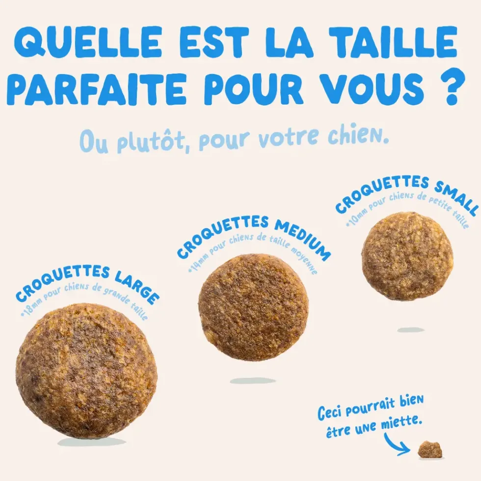 Croquettes pour chien adulte au saumon sans céréales Edgard & Cooper - 7 kg