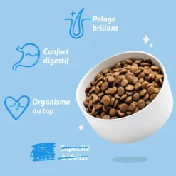 Croquettes pour chien adulte au saumon sans céréales Edgard & Cooper - 7 kg