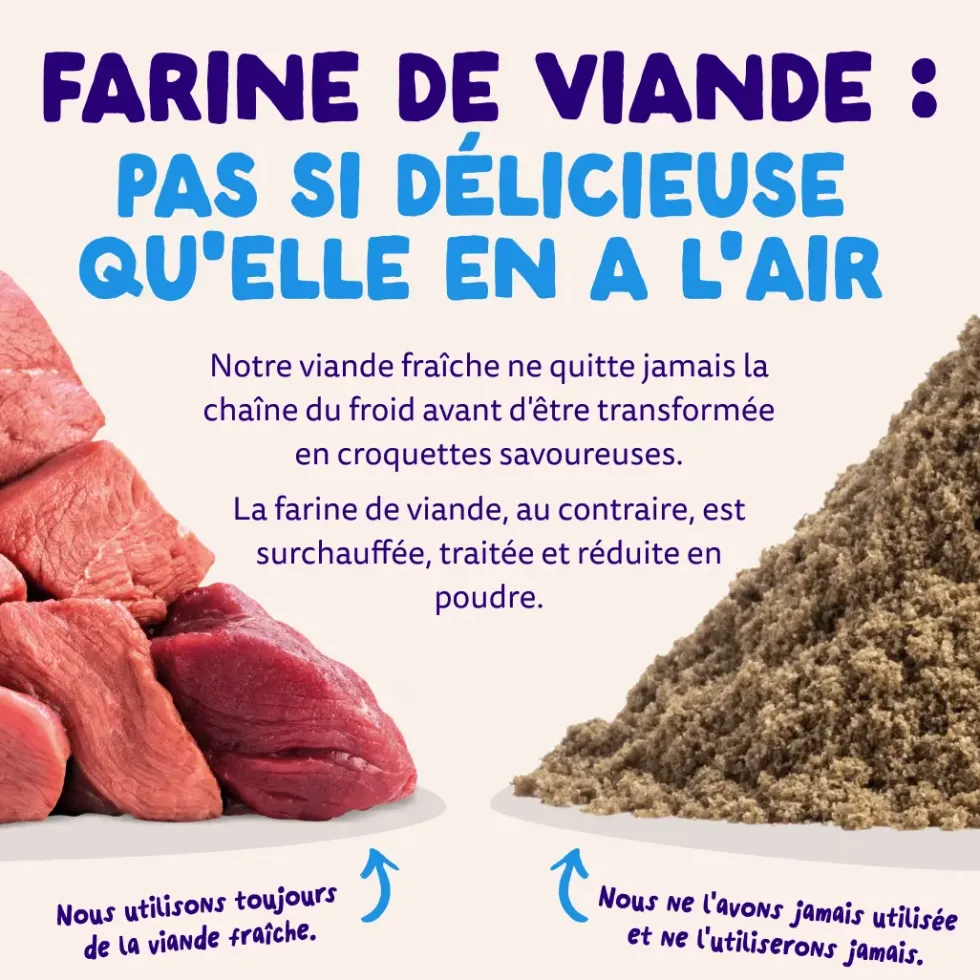 Croquettes pour chien adulte au saumon sans céréales Edgard & Cooper - 7 kg