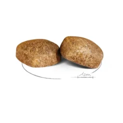Croquettes pour chien adulte de grande taille Royal Canin Giant Adult - 15 kg