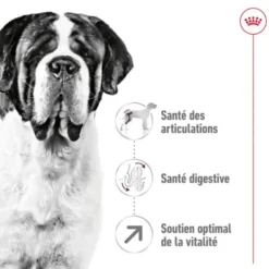 Croquettes pour chien adulte de grande taille Royal Canin Giant Adult - 15 kg