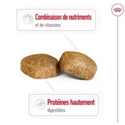 Croquettes pour chien adulte de grande taille Royal Canin Giant Adult - 15 kg