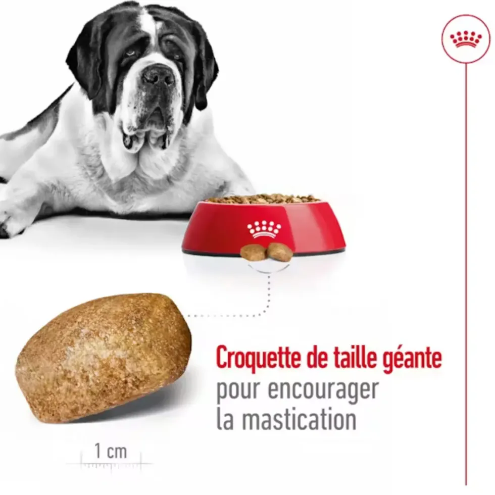 Croquettes pour chien adulte de grande taille Royal Canin Giant Adult - 15 kg