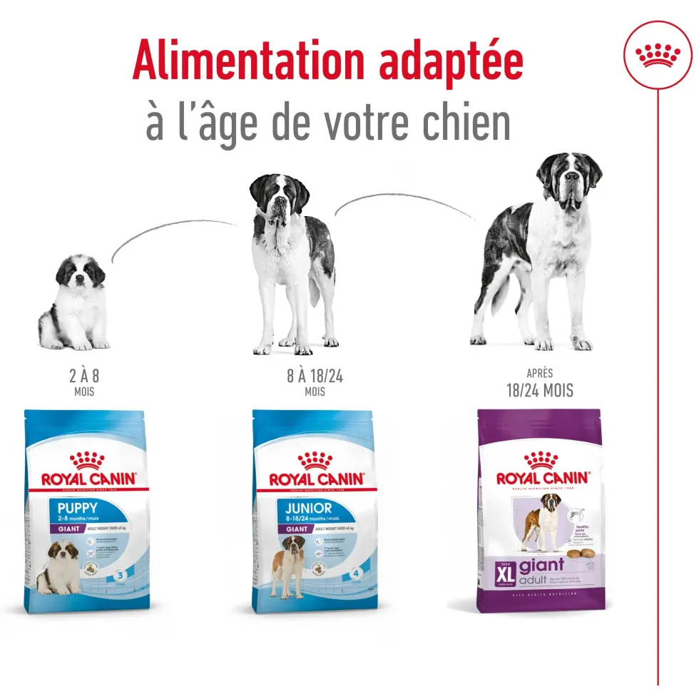 Croquettes pour chien adulte de grande taille Royal Canin Giant Adult - 15 kg