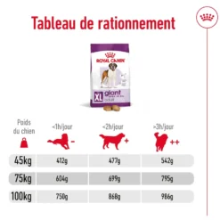 Croquettes pour chien adulte de grande taille Royal Canin Giant Adult - 15 kg