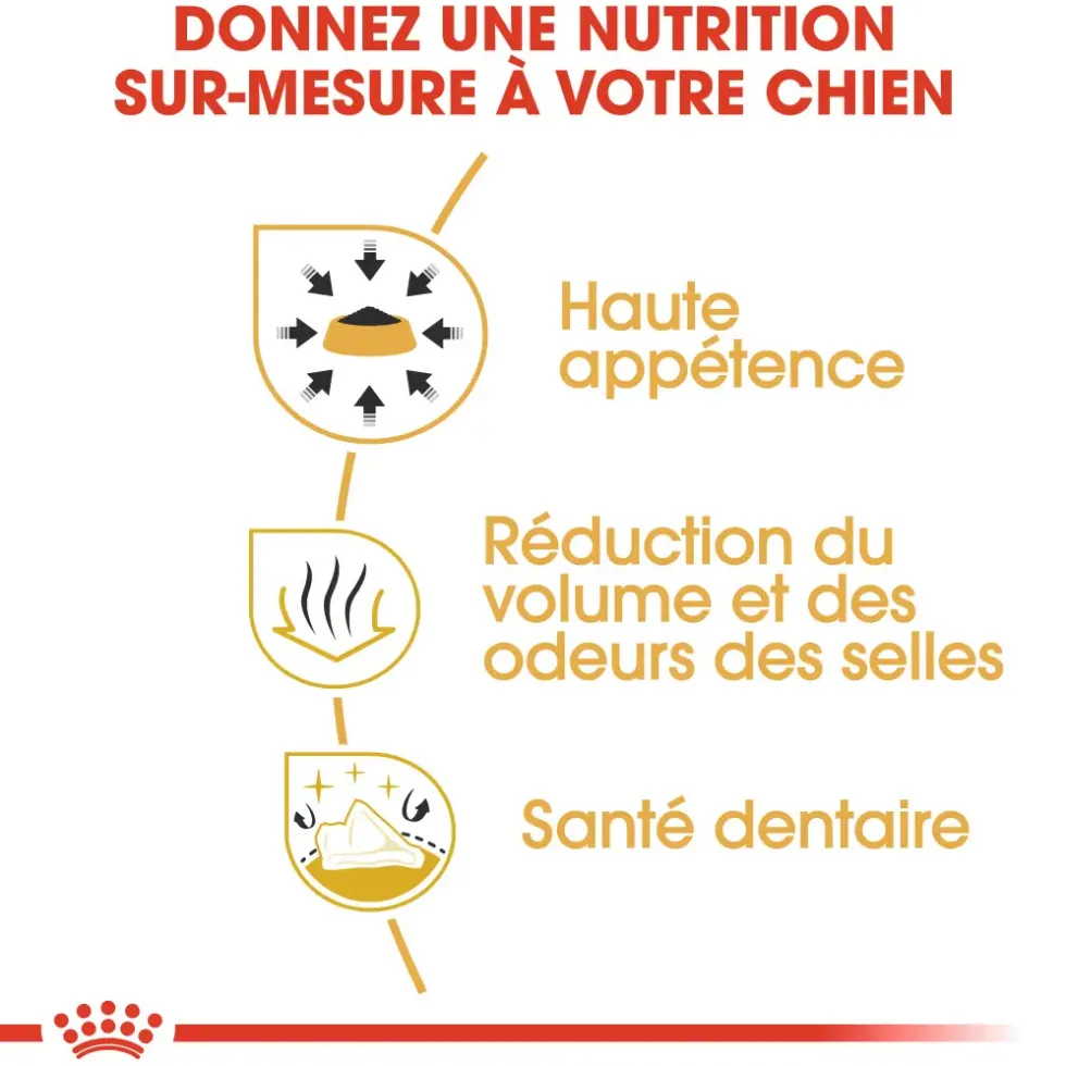 Croquettes pour chien adulte Chihuahua Royal Canin - 3 kg