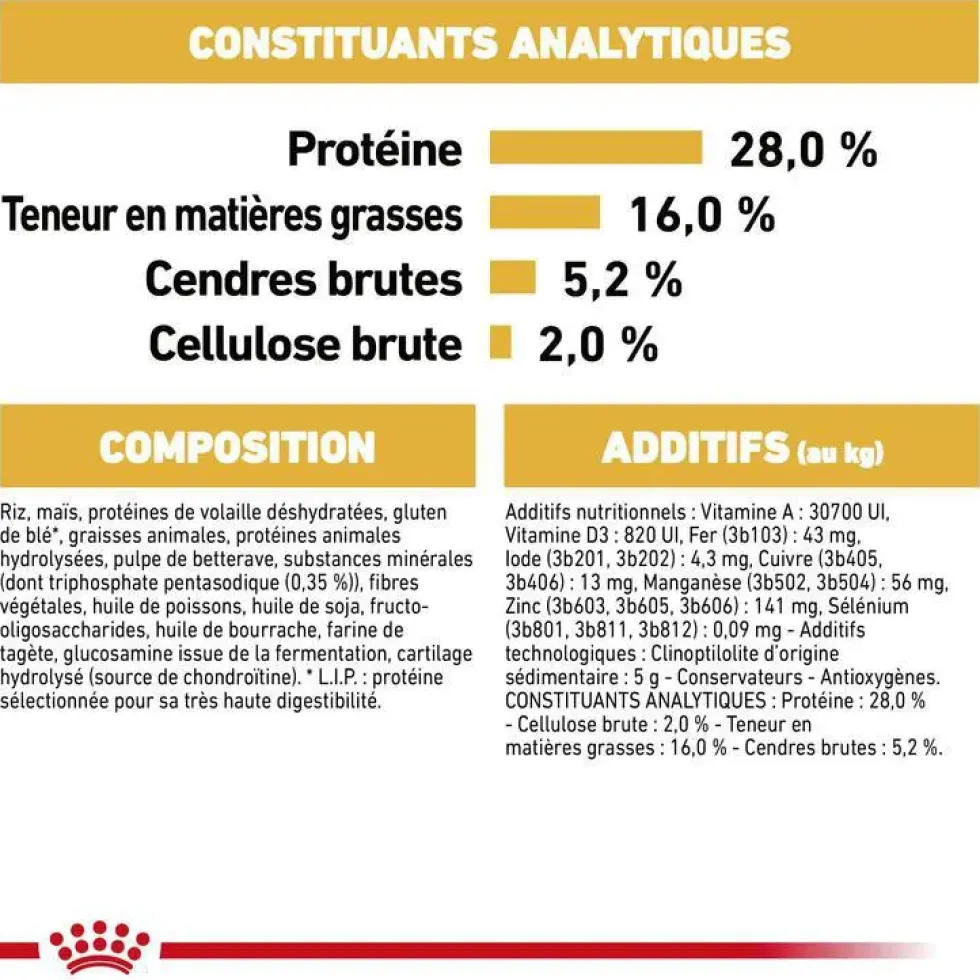 Croquettes pour chien adulte Chihuahua Royal Canin - 3 kg