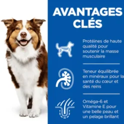 Croquettes pour chien mature medium poulet Hill's Science Plan - 18 kg