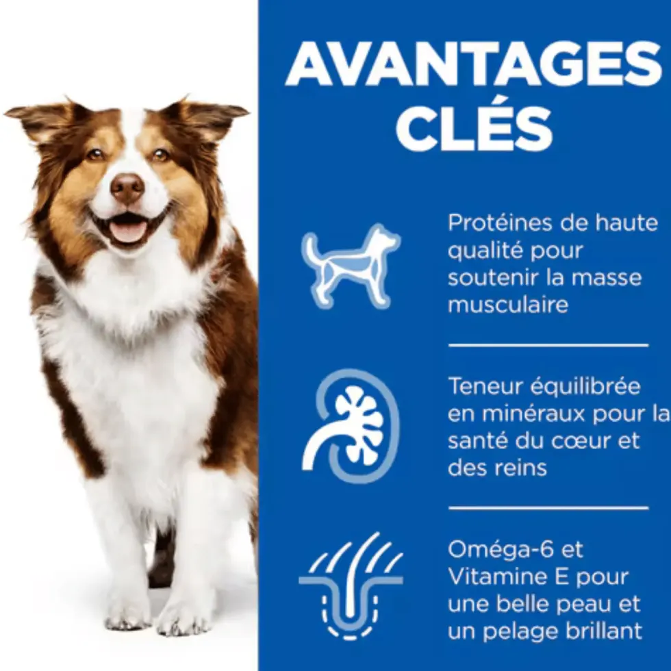 Croquettes pour chien mature medium poulet Hill's Science Plan - 18 kg
