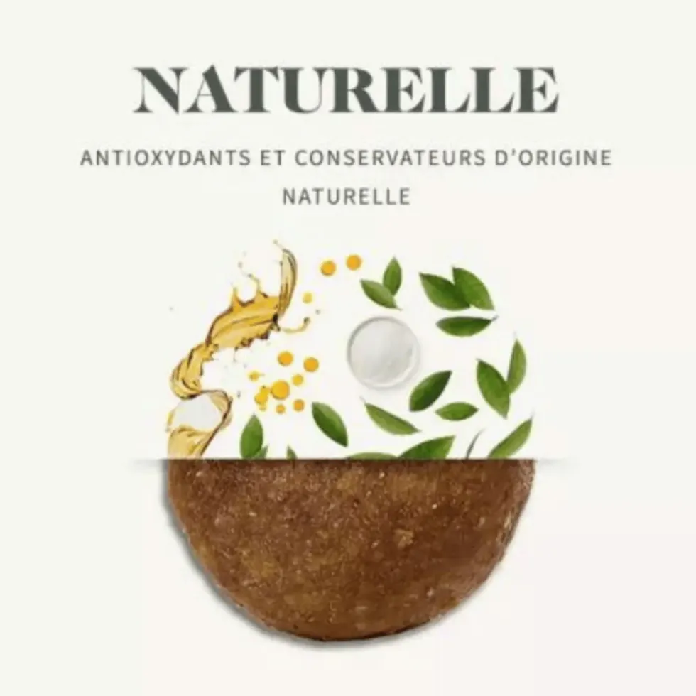 Croquettes pour chien maxi adulte au poulet sans céréales Bab'in Signature - 12 kg