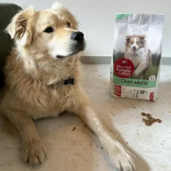 Croquettes pour chien medium adulte au poulet VivaCroc – 3 kg