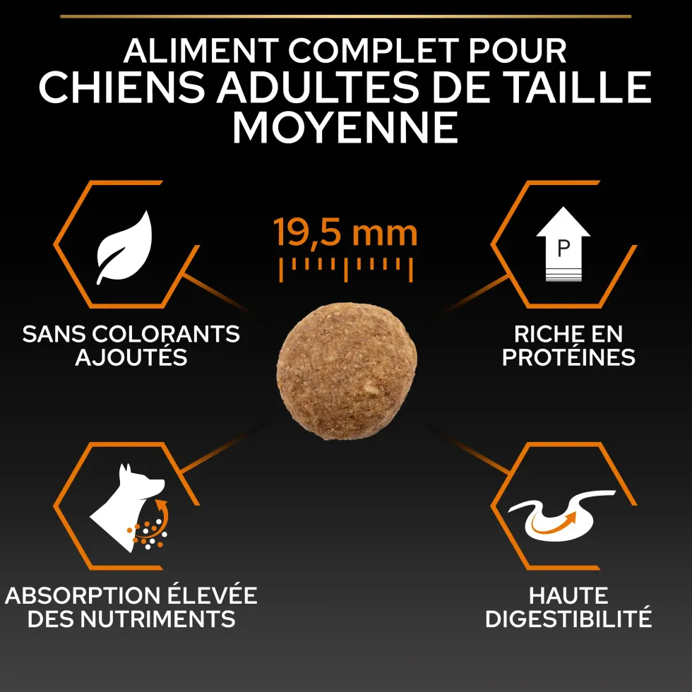Croquettes pour chien Pro Plan Dog Large Adult Robust - 16,5 kg