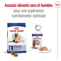Croquettes pour chien senior de grande taille Royal Canin Maxi Ageing 8+ - 15 kg