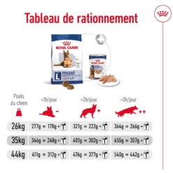 Croquettes pour chien senior de grande taille Royal Canin Maxi Ageing 8+ - 15 kg