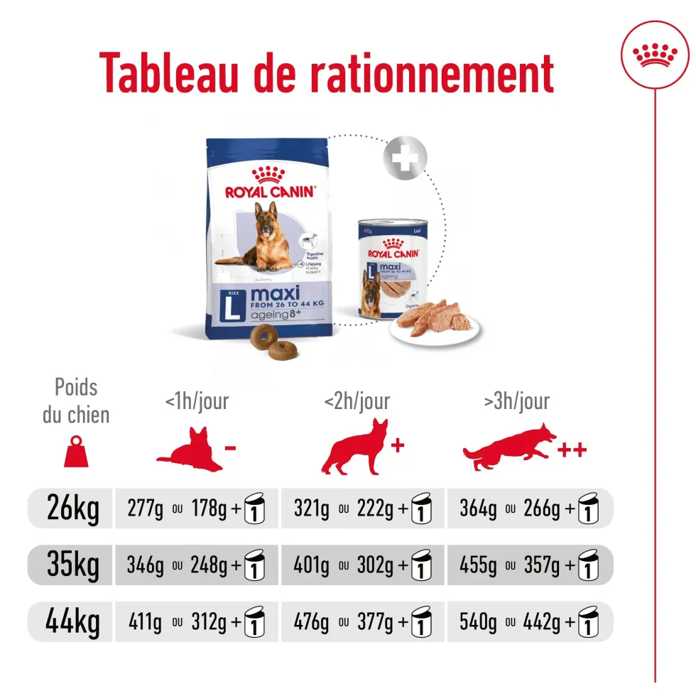 Croquettes pour chien senior de grande taille Royal Canin Maxi Ageing 8+ - 15 kg
