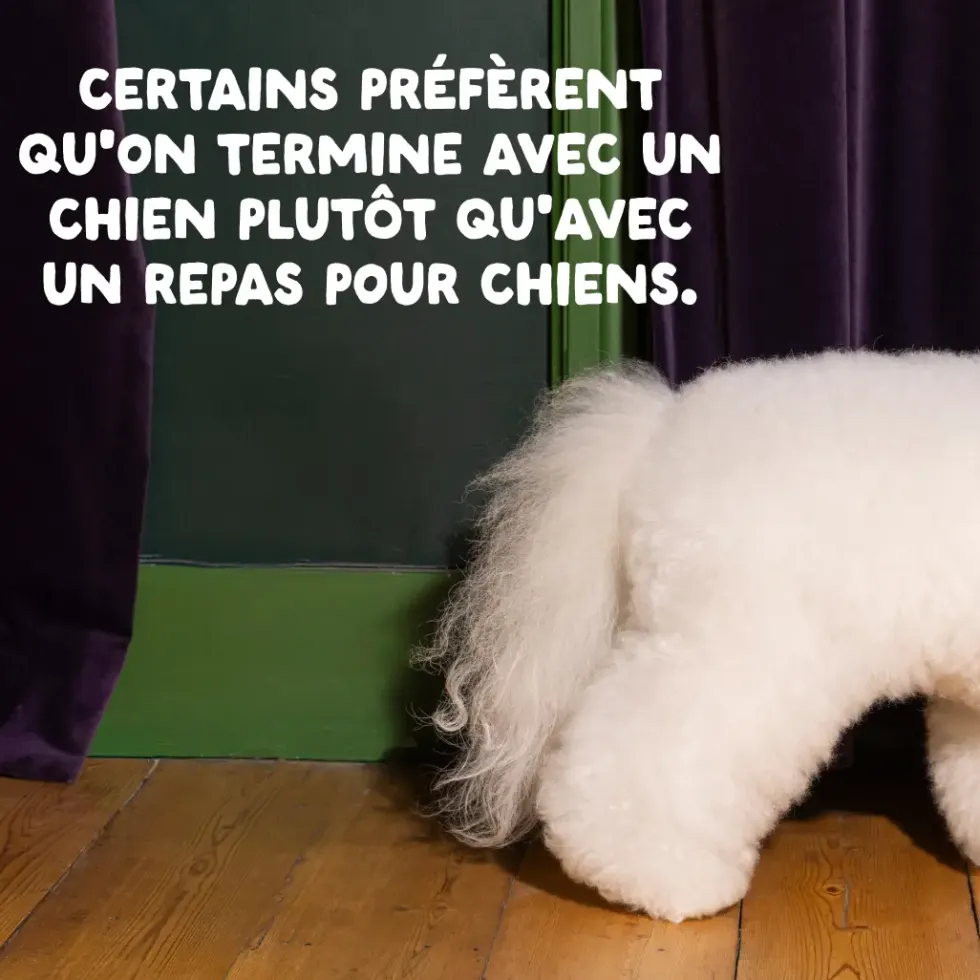 Croquettes pour chiot au canard et au poulet sans céréales Edgard & Cooper - 12 kg
