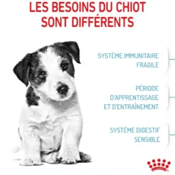 Croquettes pour chiot de petite race Royal Canin Mini Puppy - 4 kg