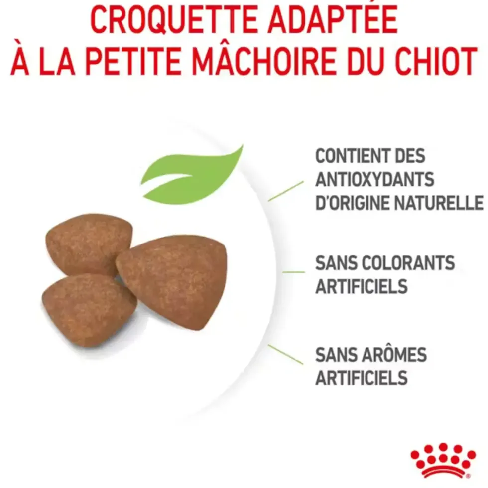 Croquettes pour chiot de petite race Royal Canin Mini Puppy - 4 kg